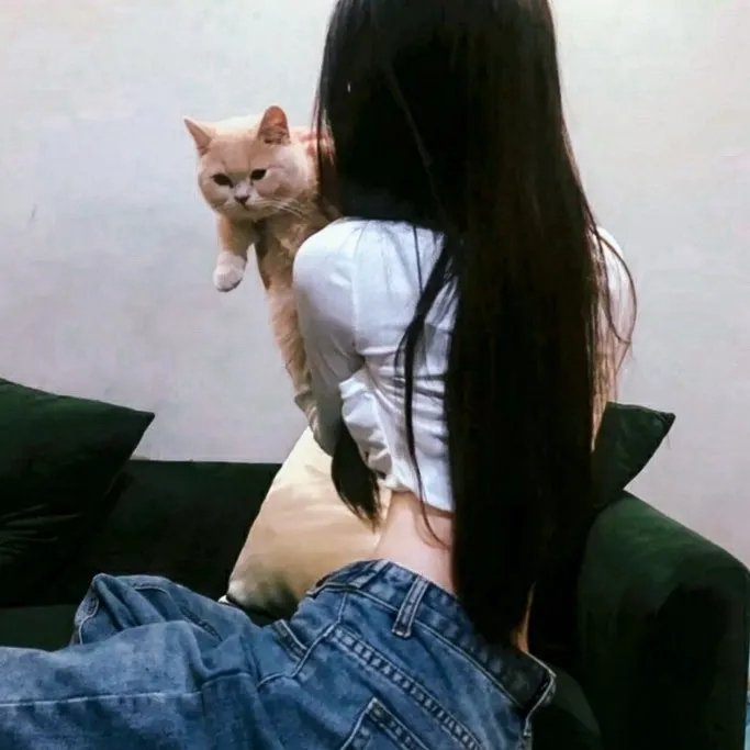愤怒的马赫什